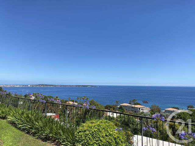Afficher la photo en grand Appartement F1 à louer - 1 pièce - 21.63 m2 - VALLAURIS - 06 - PROVENCE-ALPES-COTE-D-AZUR - Century 21 Liberté