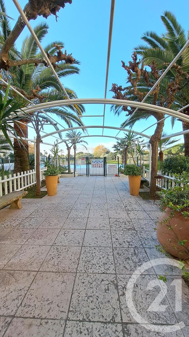 Appartement T2 à louer - 2 pièces - 29.23 m2 - JUAN LES PINS - 06 - PROVENCE-ALPES-COTE-D-AZUR - Century 21 Liberté