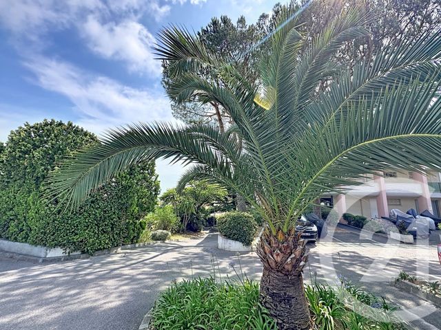 Appartement F2 à vendre - 2 pièces - 34.0 m2 - ANTIBES - 06 - PROVENCE-ALPES-COTE-D-AZUR - Century 21 Liberté