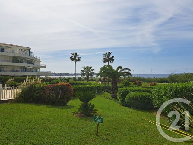 Appartement T2 à louer - 2 pièces - 36.0 m2 - JUAN LES PINS - 06 - PROVENCE-ALPES-COTE-D-AZUR - Century 21 Liberté