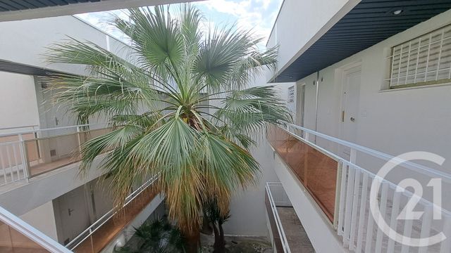 Appartement Studio Cabine à louer - 1 pièce - 28.0 m2 - VILLENEUVE LOUBET - 06 - PROVENCE-ALPES-COTE-D-AZUR - Century 21 Liberté