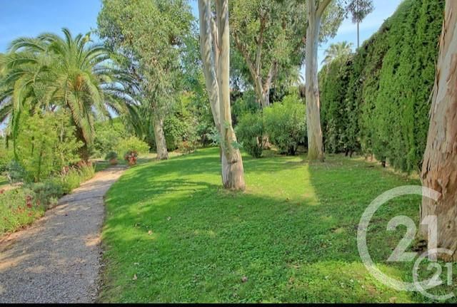 Appartement Studio à louer - 1 pièce - 20.5 m2 - LE GOLFE JUAN - 06 - PROVENCE-ALPES-COTE-D-AZUR - Century 21 Liberté
